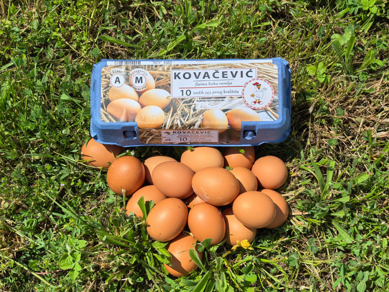 Sveža jaja M